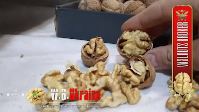Характеристики грецкого ореха Кочерженко и Иван Багряный от Walnuts Broker