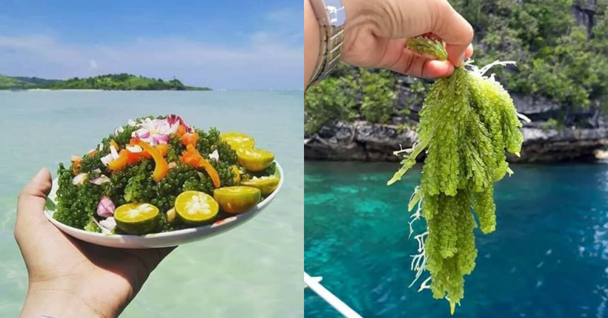 Must-try traditional foods that you can only get in Sabah - TheHive.Asia