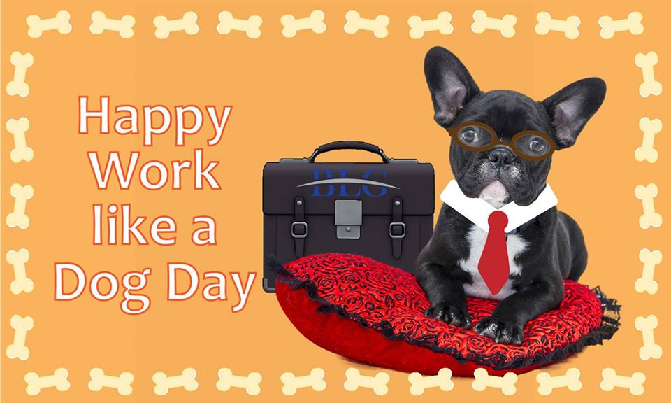 Work Like a Dog Day Work Like a Dog Day