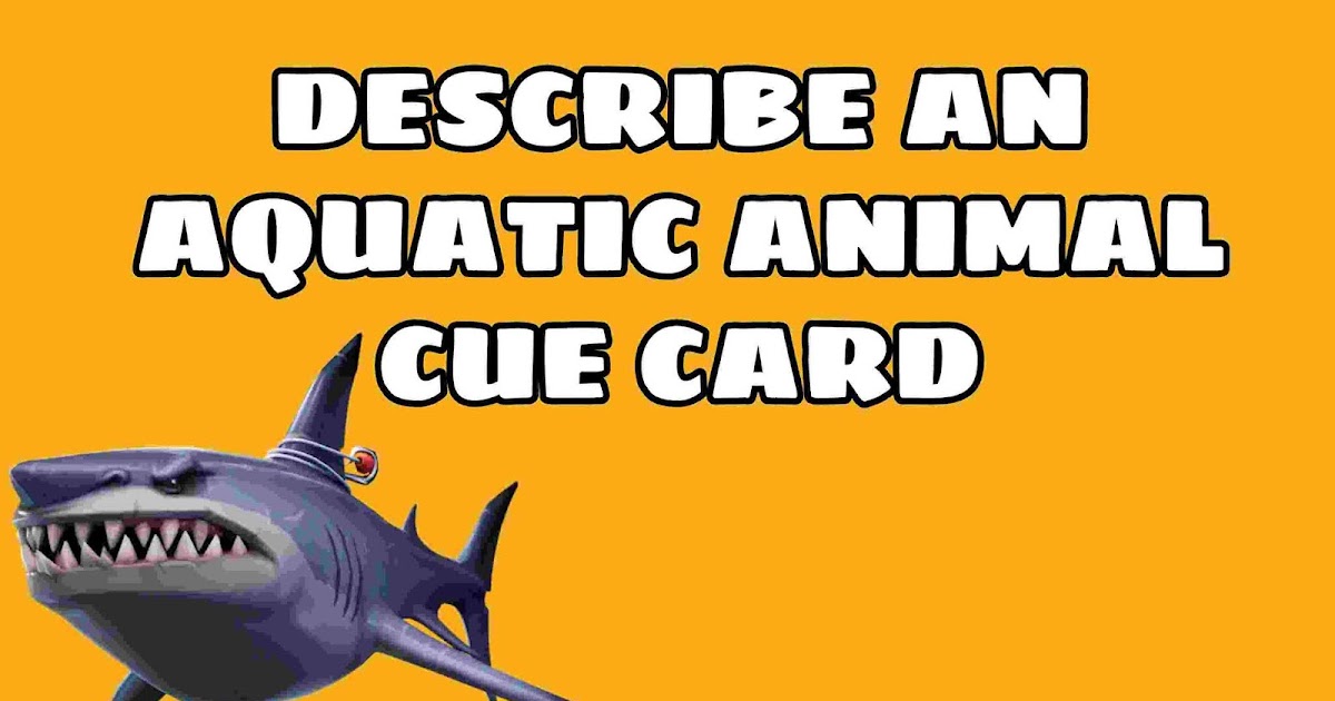 Describe an aquatic animal cue card