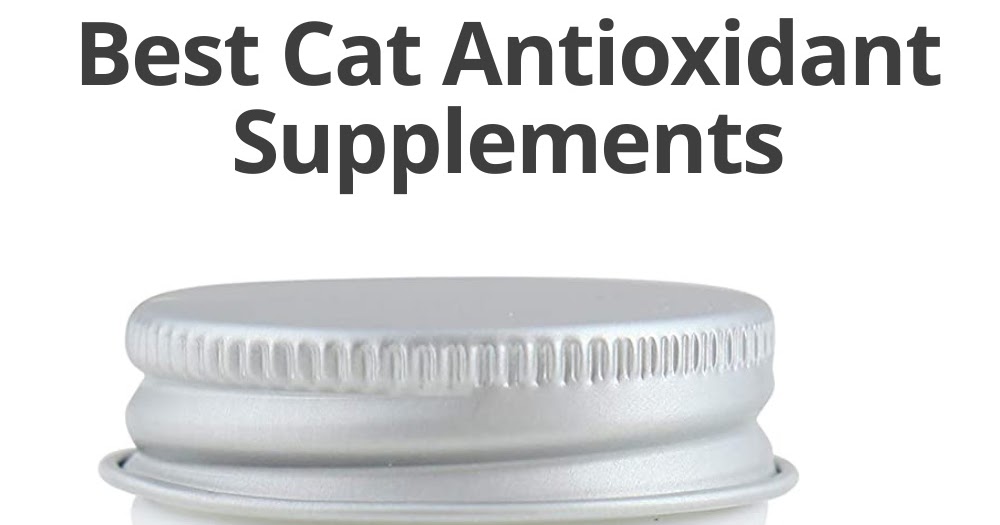 Best Cat Antioxidant Supplements