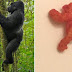 Cuộc đấu giá dở hơi nhất lịch sử: Miếng bim bim hình khỉ đột giá 2 tỷ