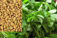 Manufactures and exporters of fenugreek seeds