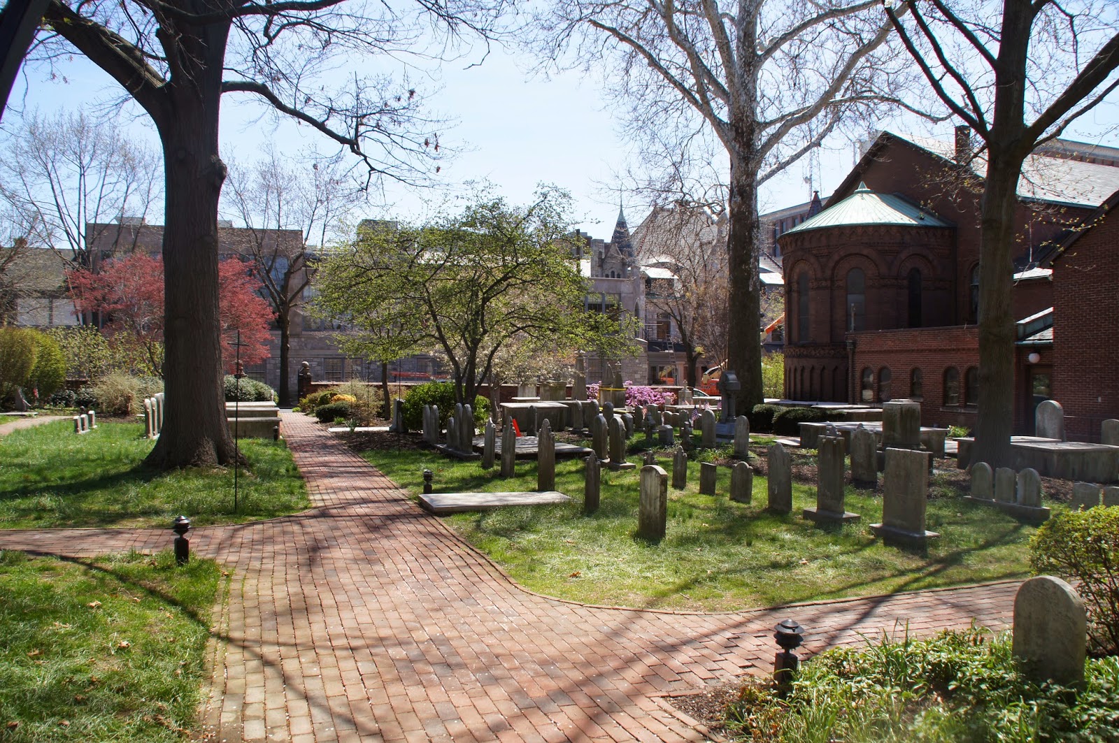 Extraordinary Stories From An Ordinary Guy The "The Story Of Cabbage