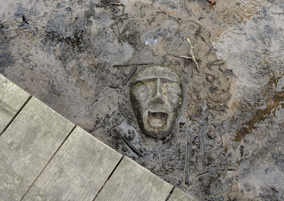 Image of a face in mud at edge of lskr