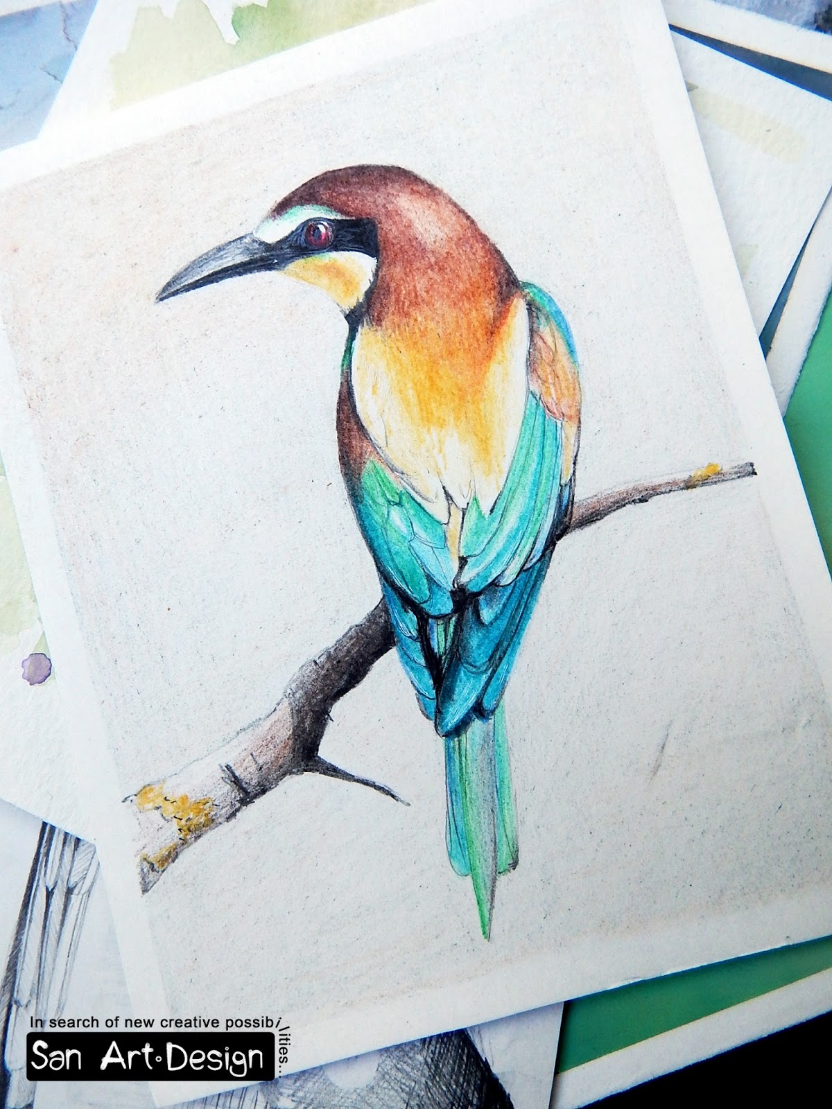 color pencil sketch drawing color pencil sketch drawing