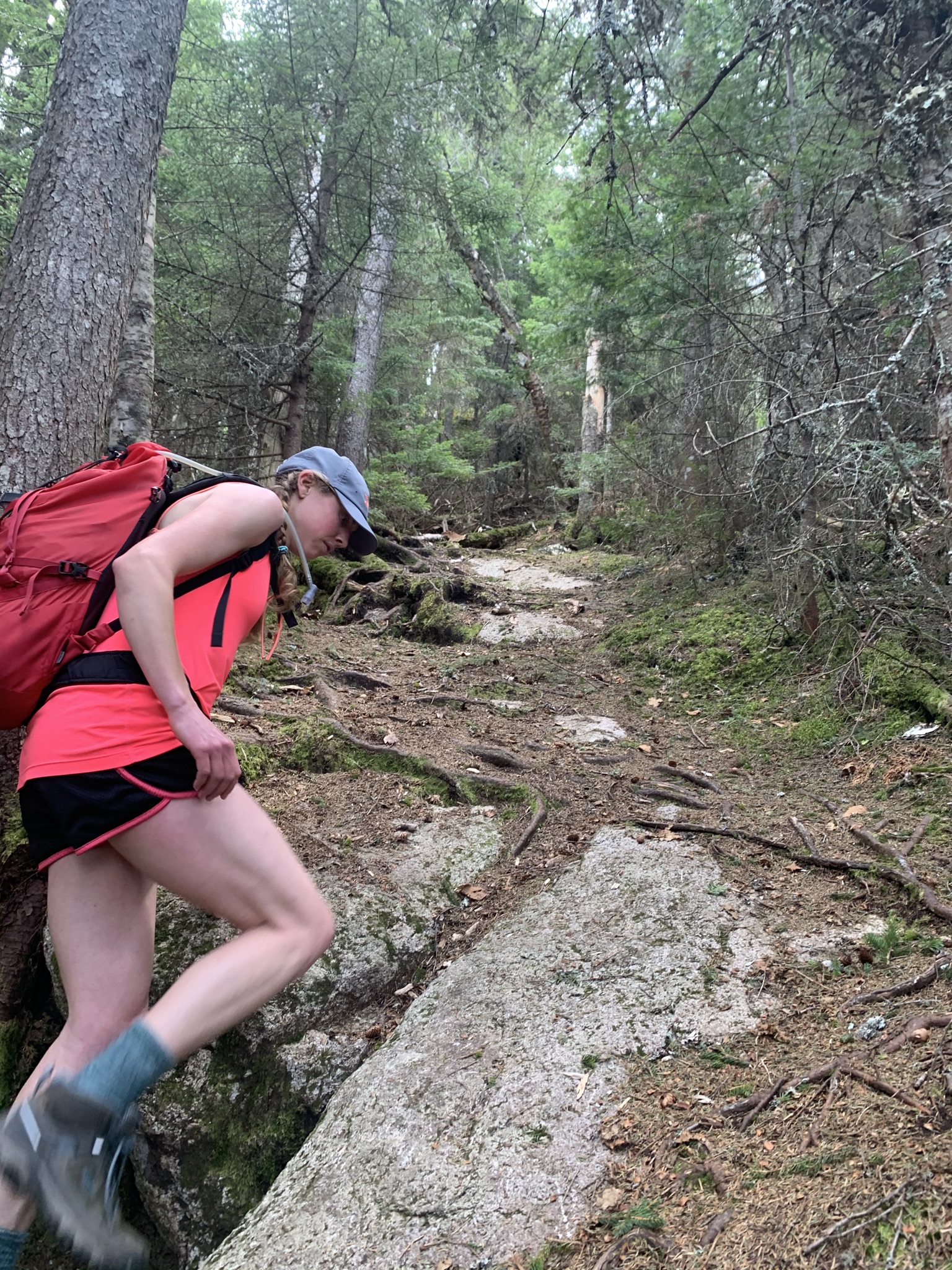 cherry mountain backpack