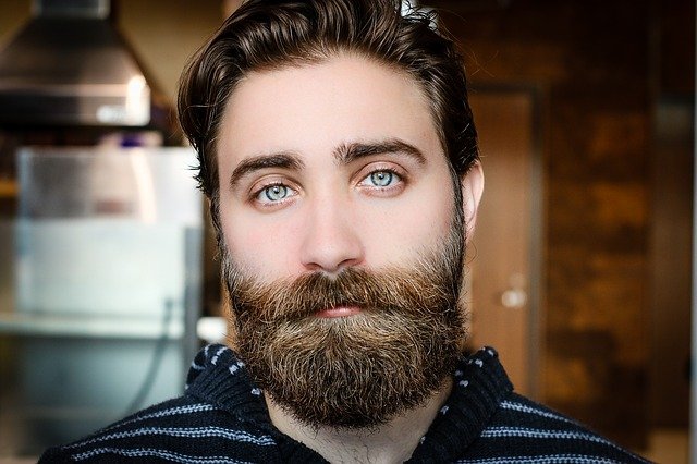 barba bonita barba bonita