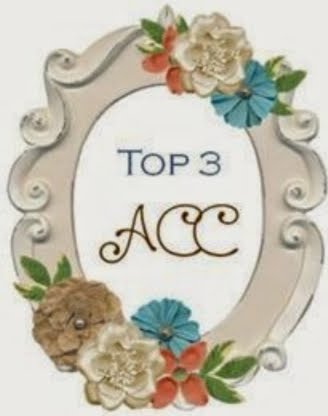 TOP 3 - BLOG ACC - MARÇO 2015