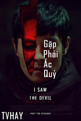 Gặp Phải Ác Quỷ -  I Saw the Devil