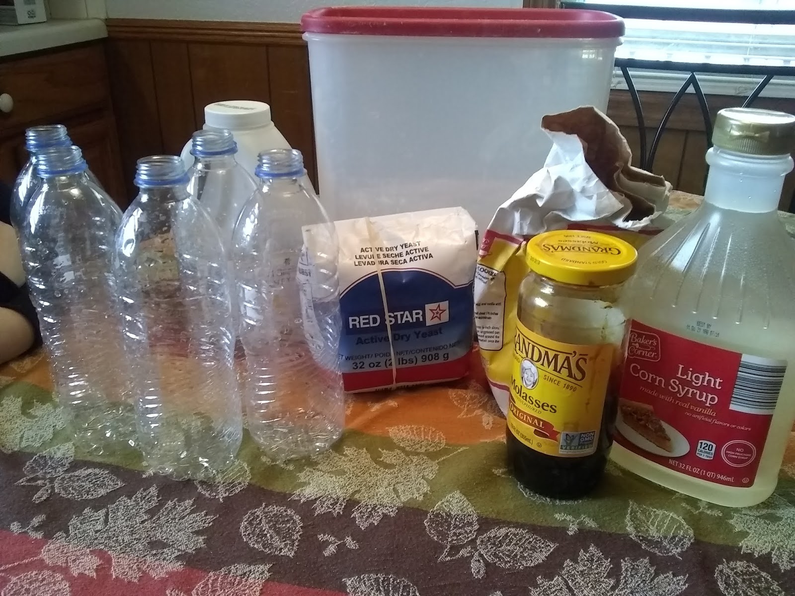 Simple Inspirations Fun Yeast Experiment!