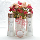 Graisset Repair Moisture