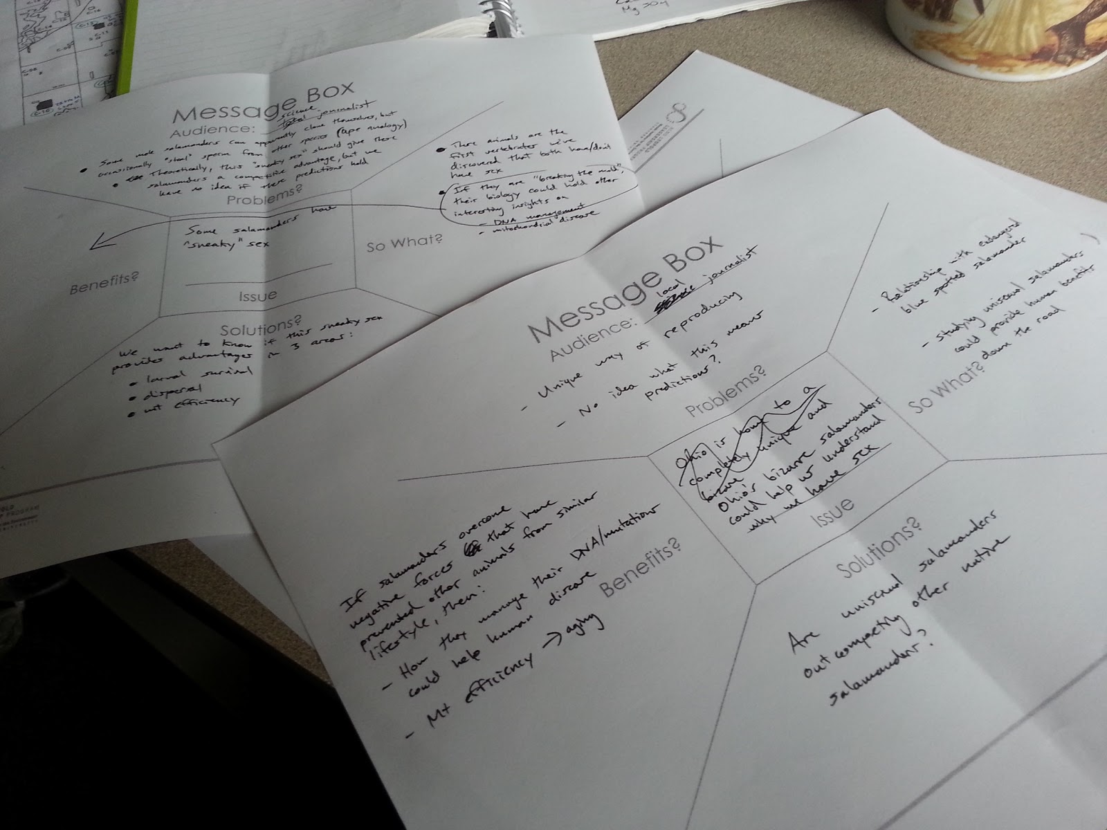 salamander-shmalamander-may-2013