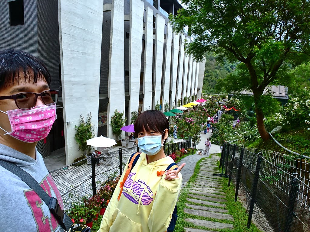 苗栗景點,雅聞七里香玫瑰森林,苗栗親子旅遊