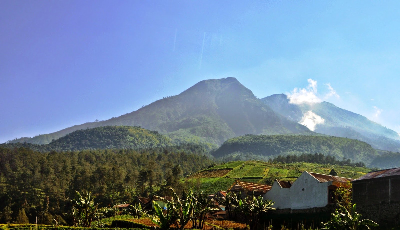 Pendakian Gunung Lawu  3 265 mdpl via Cemoro Sewu Manusia 