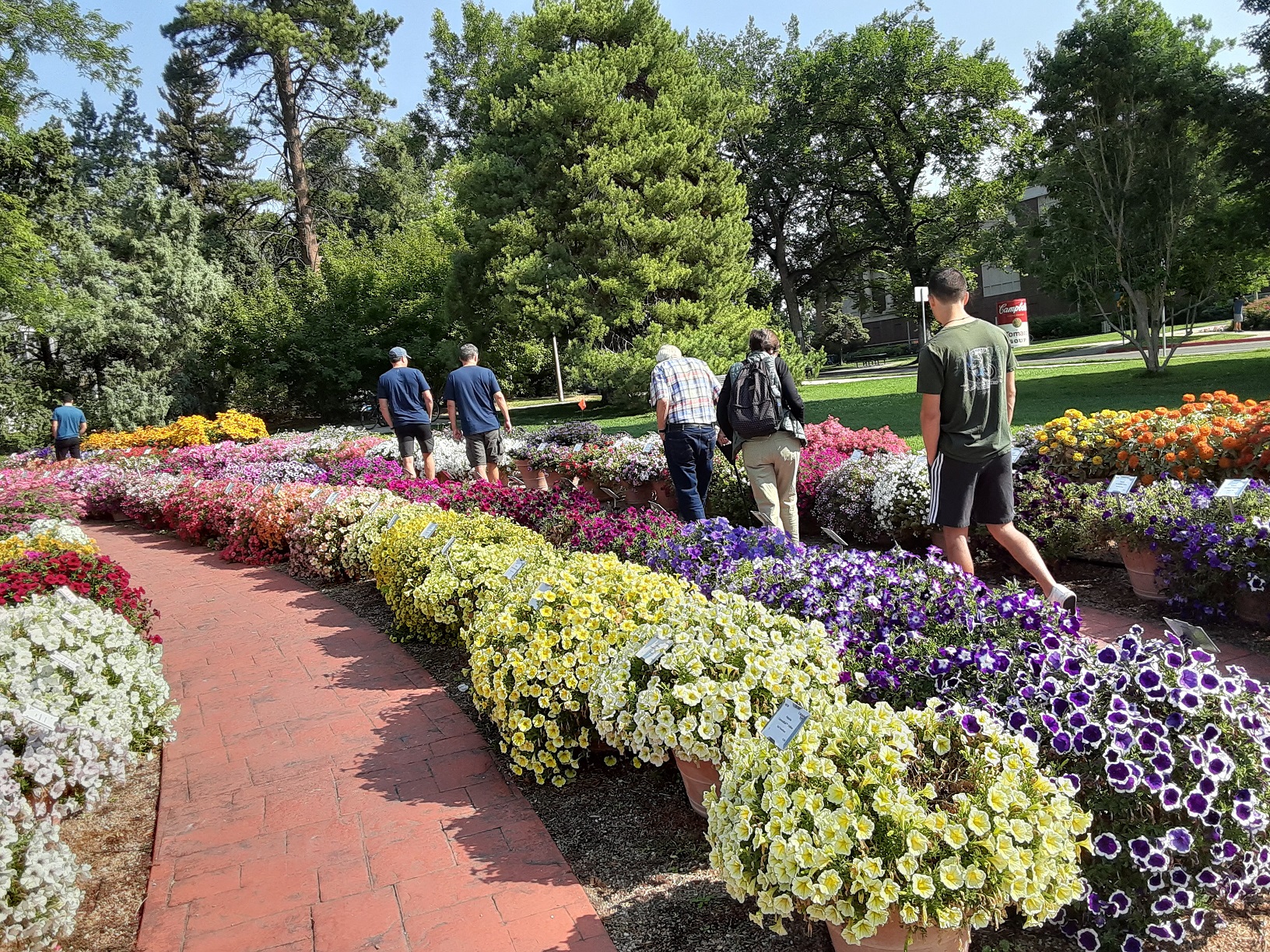 AbbyNormal the mattress that you stole