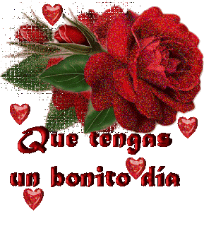 Imagenes De Rosas Con Buenos Dias Imagenes De Rosas Con Buenos Dias