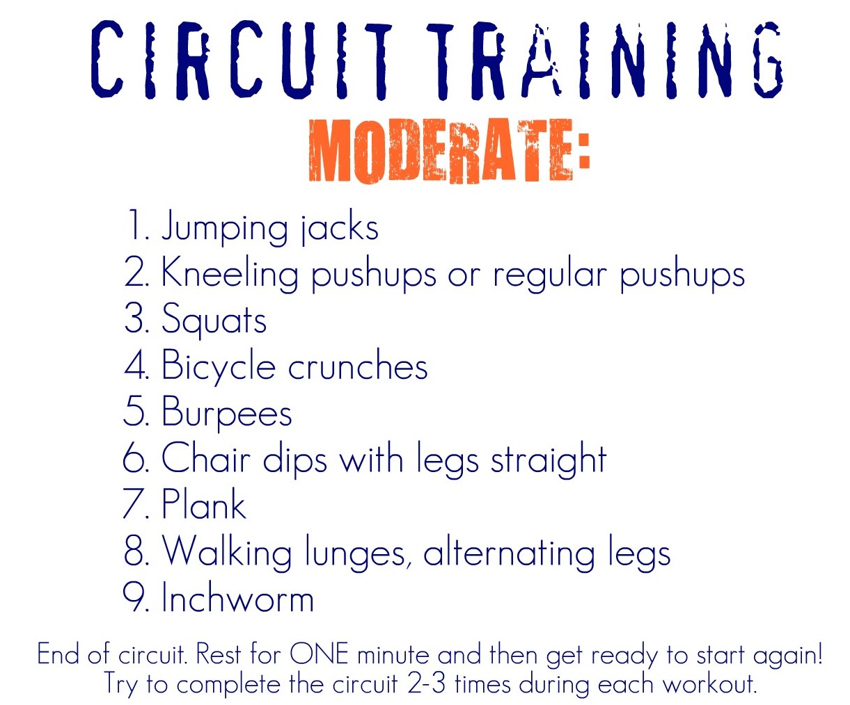 Circuit Training Workout For Beginners