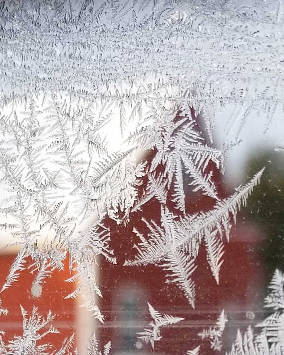 How Can I Keep My Dogs Water From Freezing