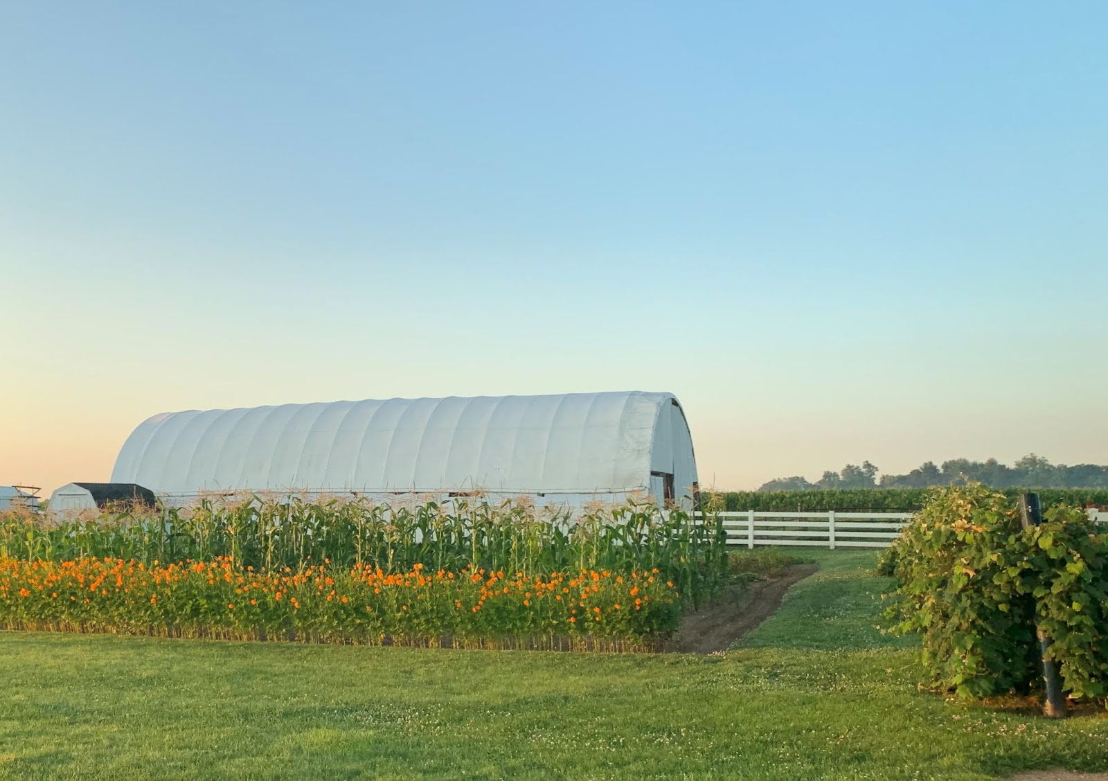 Amish Horses Amish Garden Tour