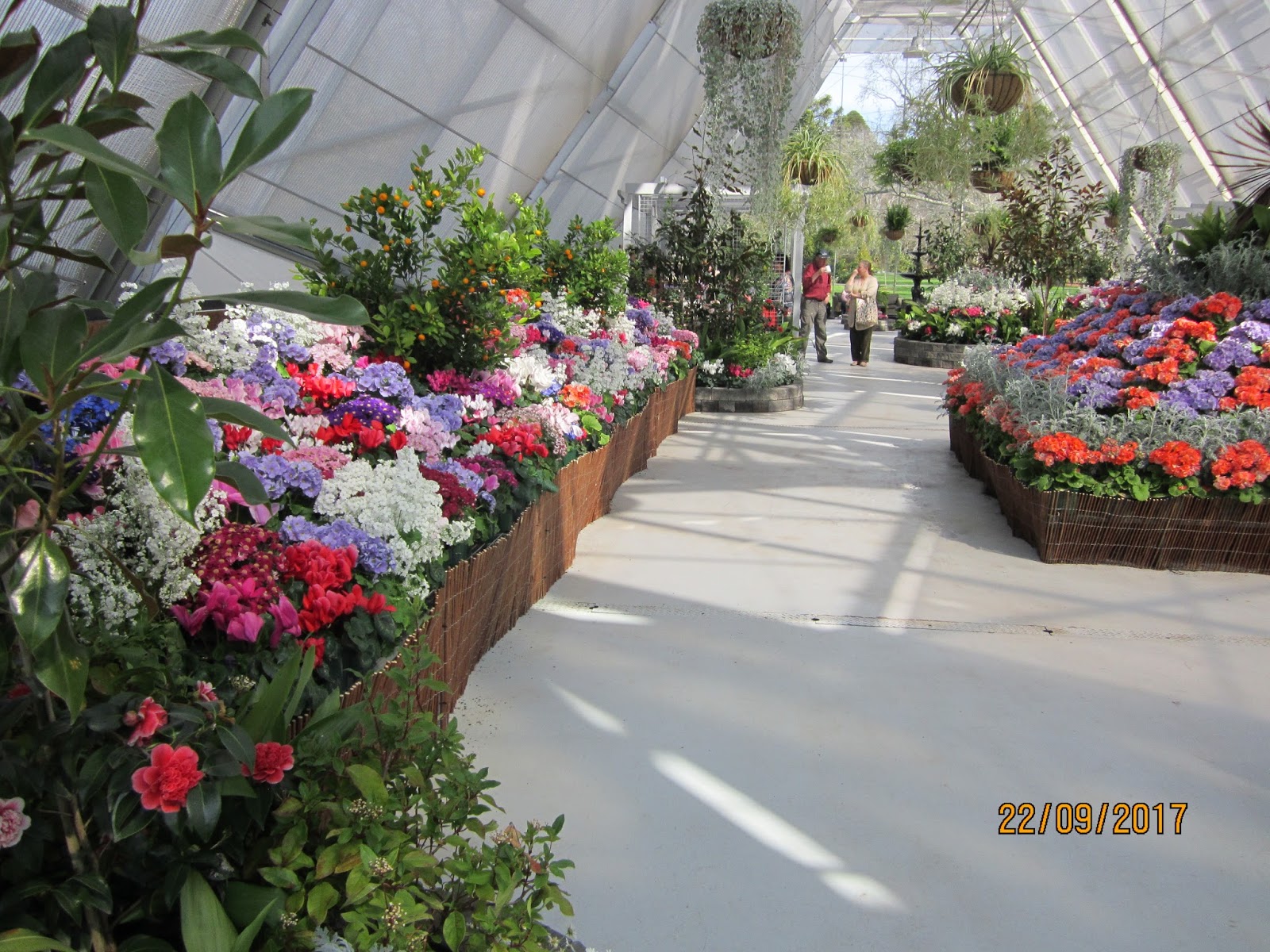 The Niche Nursery Ballarat & Melbourne