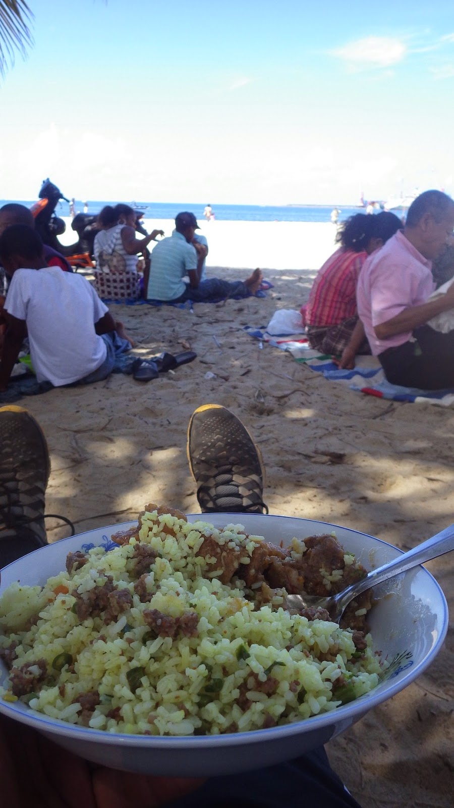 Elder Jake Roush's Madagascar Adventures