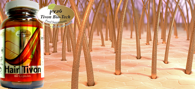 הייר טבעון כמוסות Hair Tivon