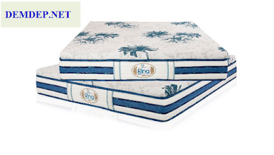 https://demdep.net/san-pham/dem-lo-xo-ring-vo-dai-5-sao-120x190x30cm.html