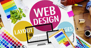 professional web design company in chennai; 