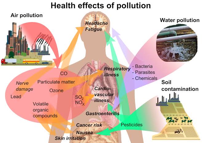 Effect of different pollutants  long human health