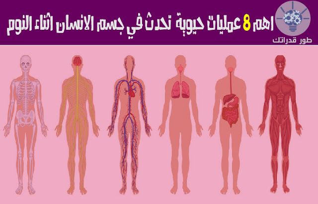 اهم 8 عمليات حيوية  تحدث في جسم الانسان اثناء النوم 