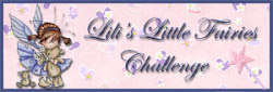 LILI'S LITTLE FAIRIES CHALLENGE