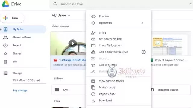 Google Drive File