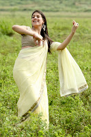 Bollywood and Tollywood acress Lakshmi, Rai, lakshmi rai in christian brothers, malayalam movie, image, gallery, 