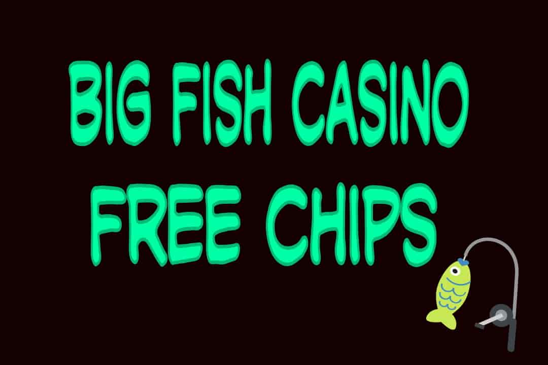 Big fish casino free chips code Big fish casino free chips code