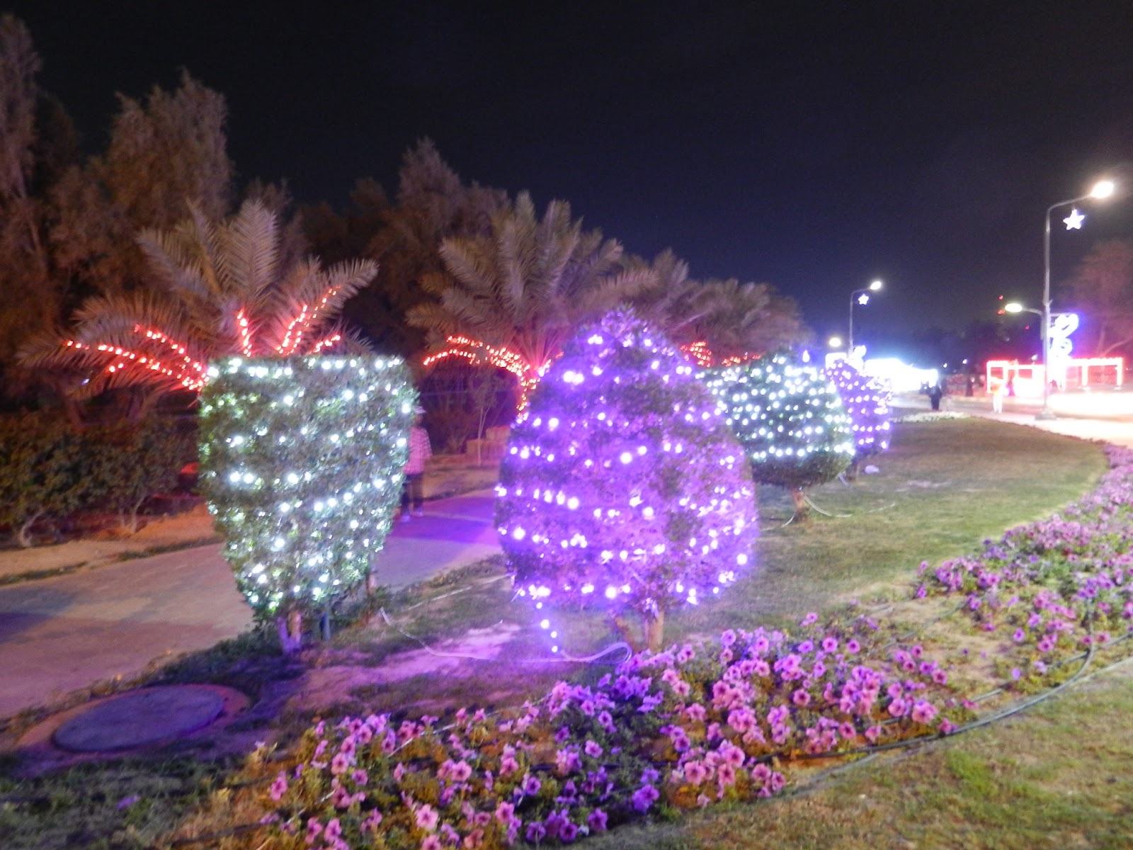 Kuweight 64 AHMADI LIGHTS TURNS MAGICAL FOR KUWAIT NATIONAL AND