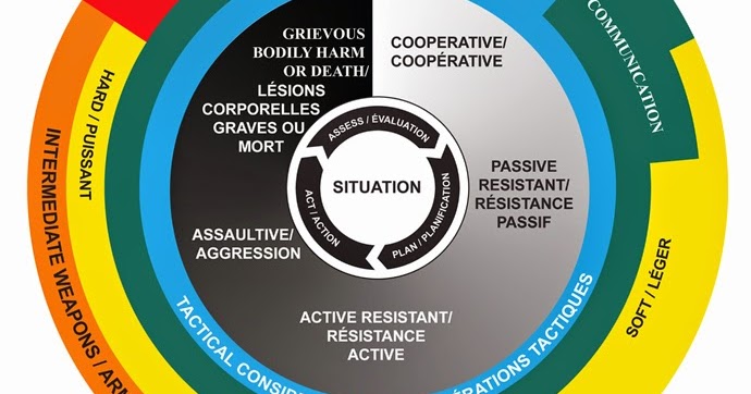 Police and Justice: Use of Force