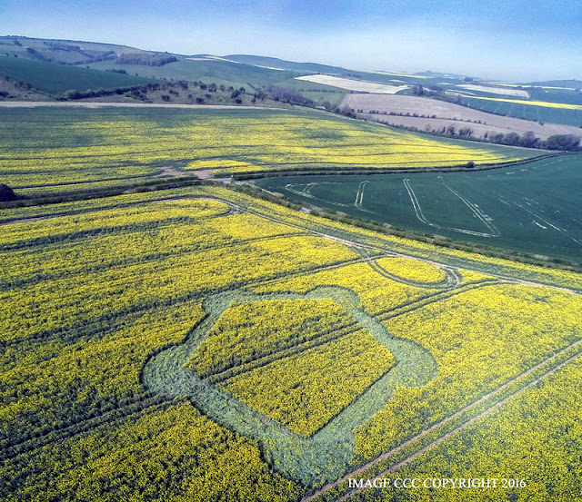 Crop Circle  - Página 4 G0011672bbb