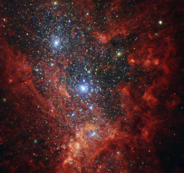 Stars in NGC 1569