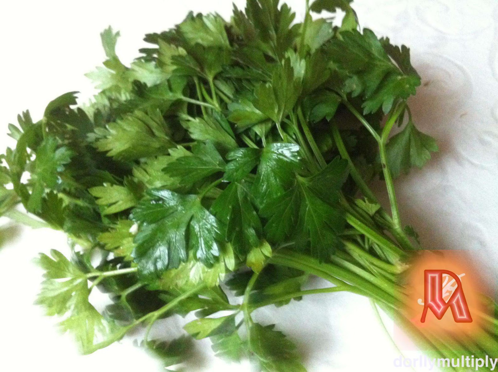 parsley in tagalog philippin news collections