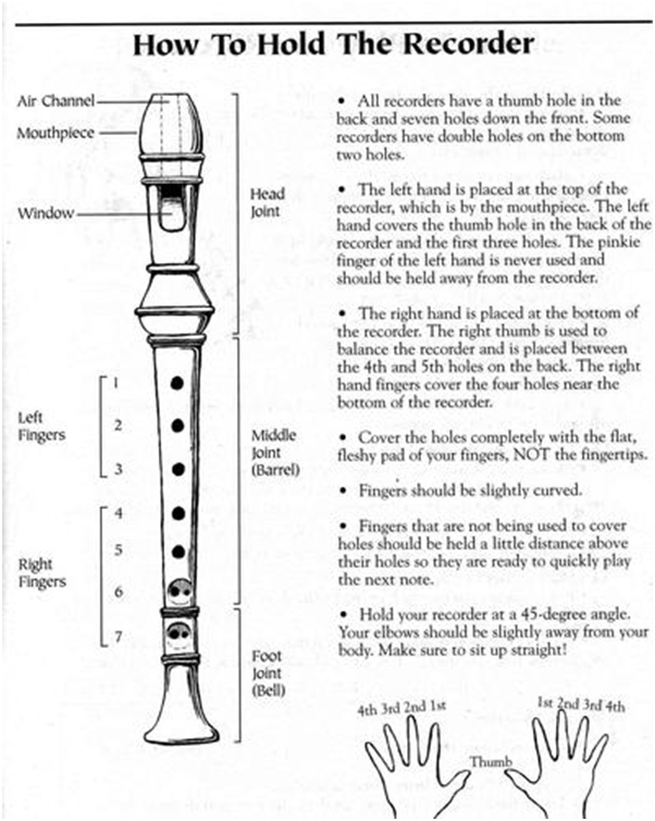 FORM 1 OCS 20162017 Recorder How To Hold The Recorder