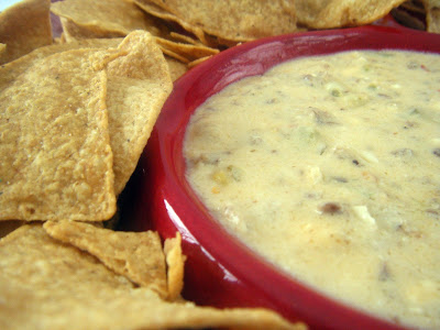 Snappy Gourmet: Spicy Sausage & Beer Cheese Dip