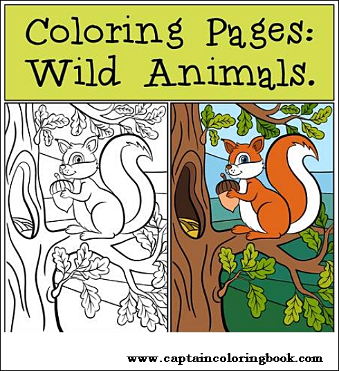 Coloring book pdf download