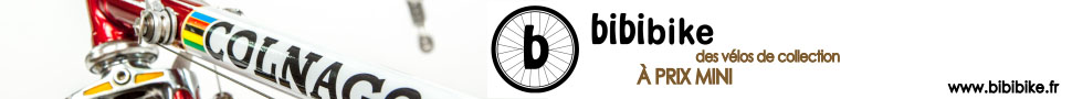 Bibibike collection cycles