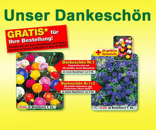 Kathy's Checkpoint Blumenpaket von BALDUR Gartenversand