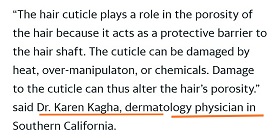 hair porosity