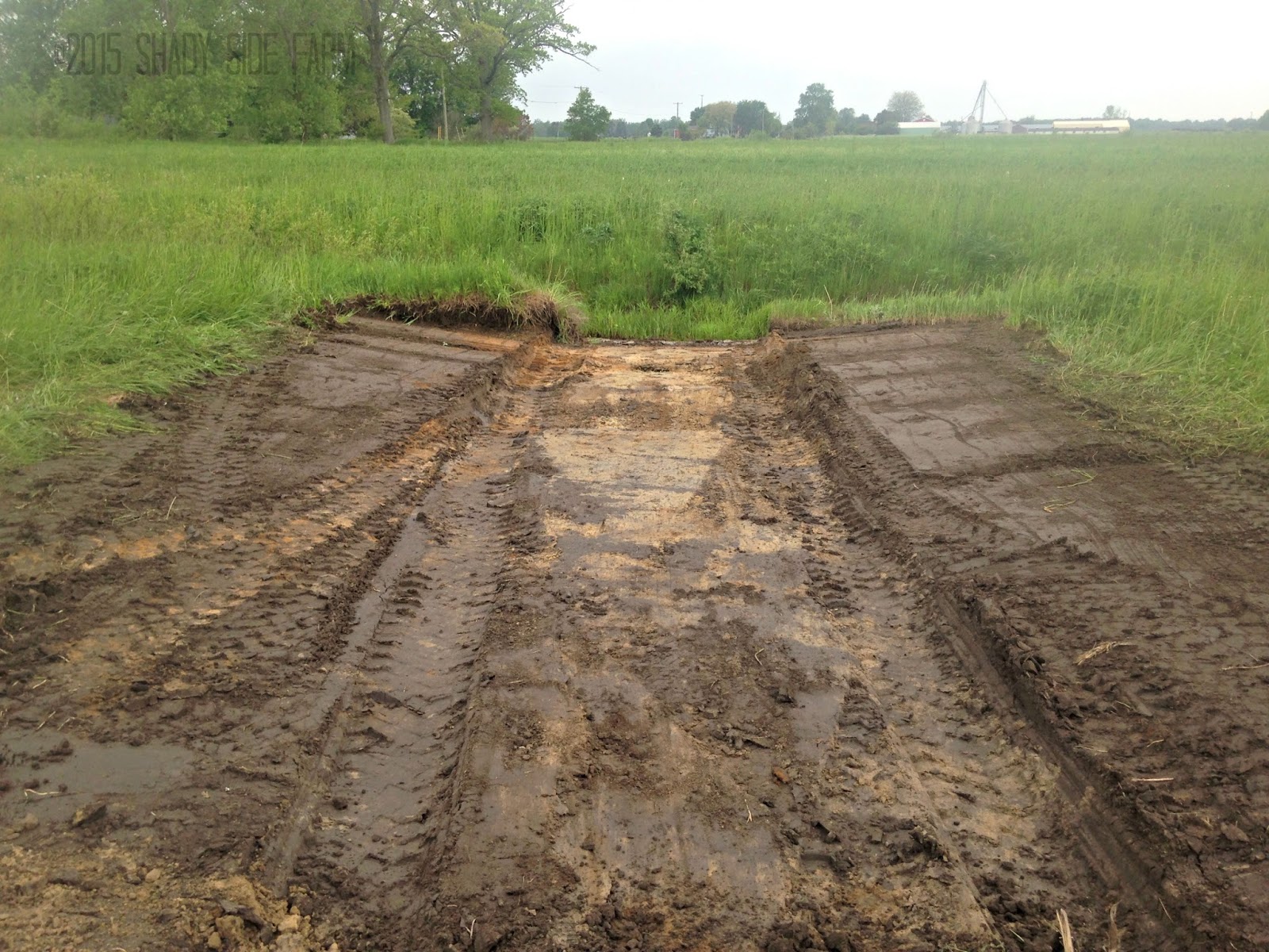 Grass Waterways for Erosion Control