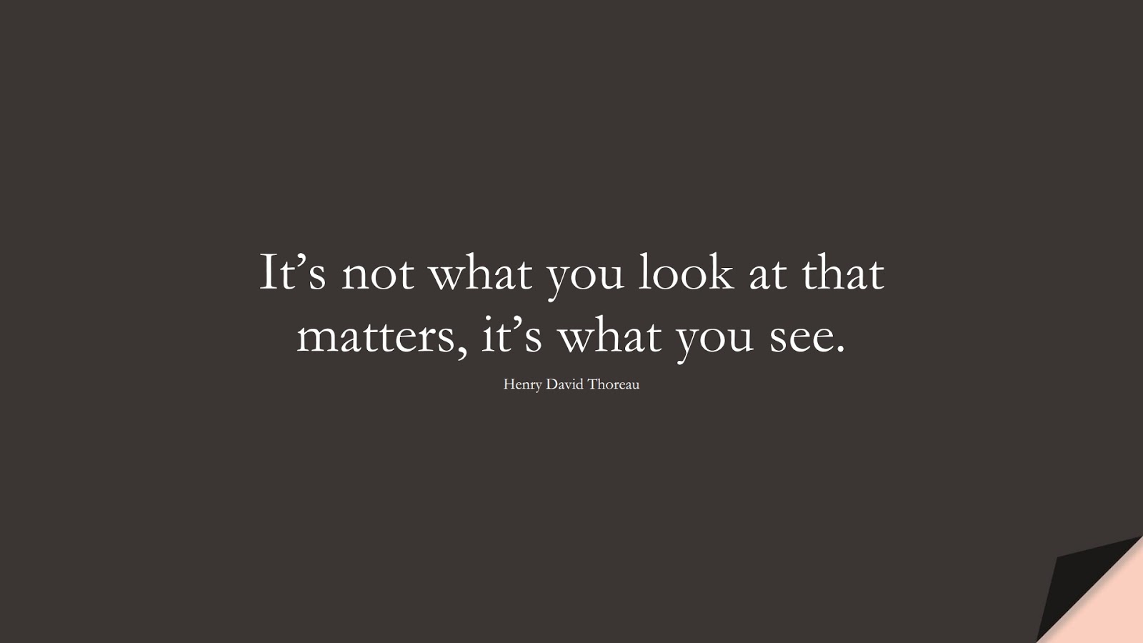 It’s not what you look at that matters, it’s what you see. (Henry David Thoreau);  #BioQuotes