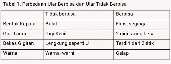 Gigitan Ular Berbisa - KLIK INSTAL