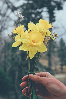 Photo by Sam Mgrdichian on Unsplash A closeup of a hand holding some daffodils and daisies. Photo by Sam Mgrdichian on Unsplash